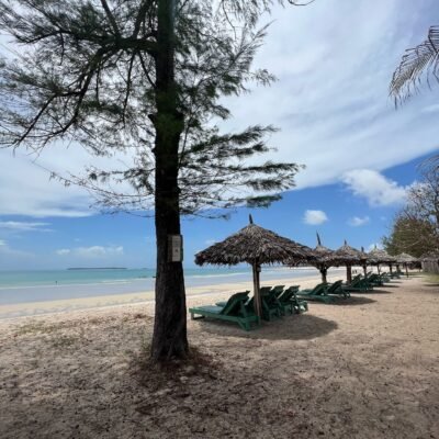 487338426_18395992774111013_8171225611975818874_n