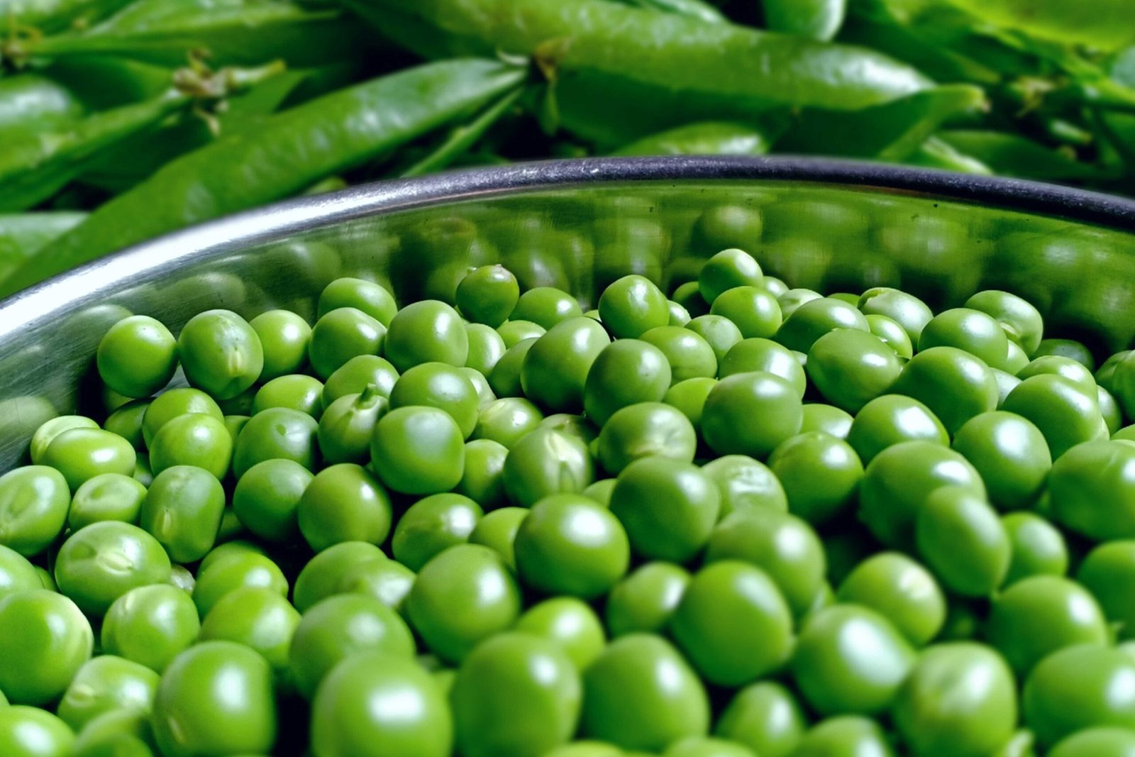 Kilolo Agro Supplier