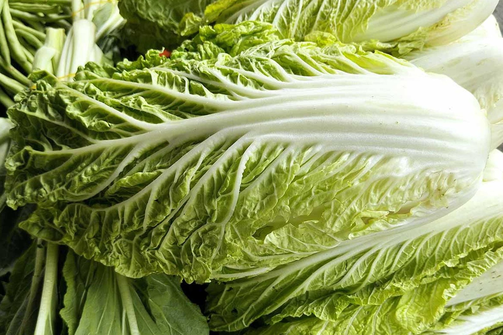 Kenagro Suppliers Ltd