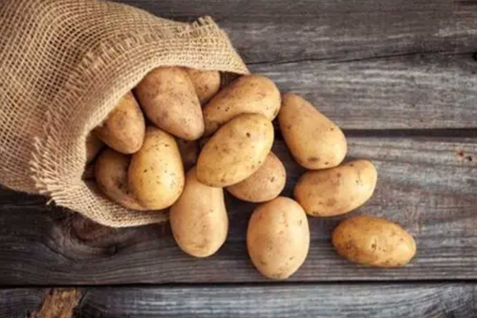 Kilolo Agro Supplier