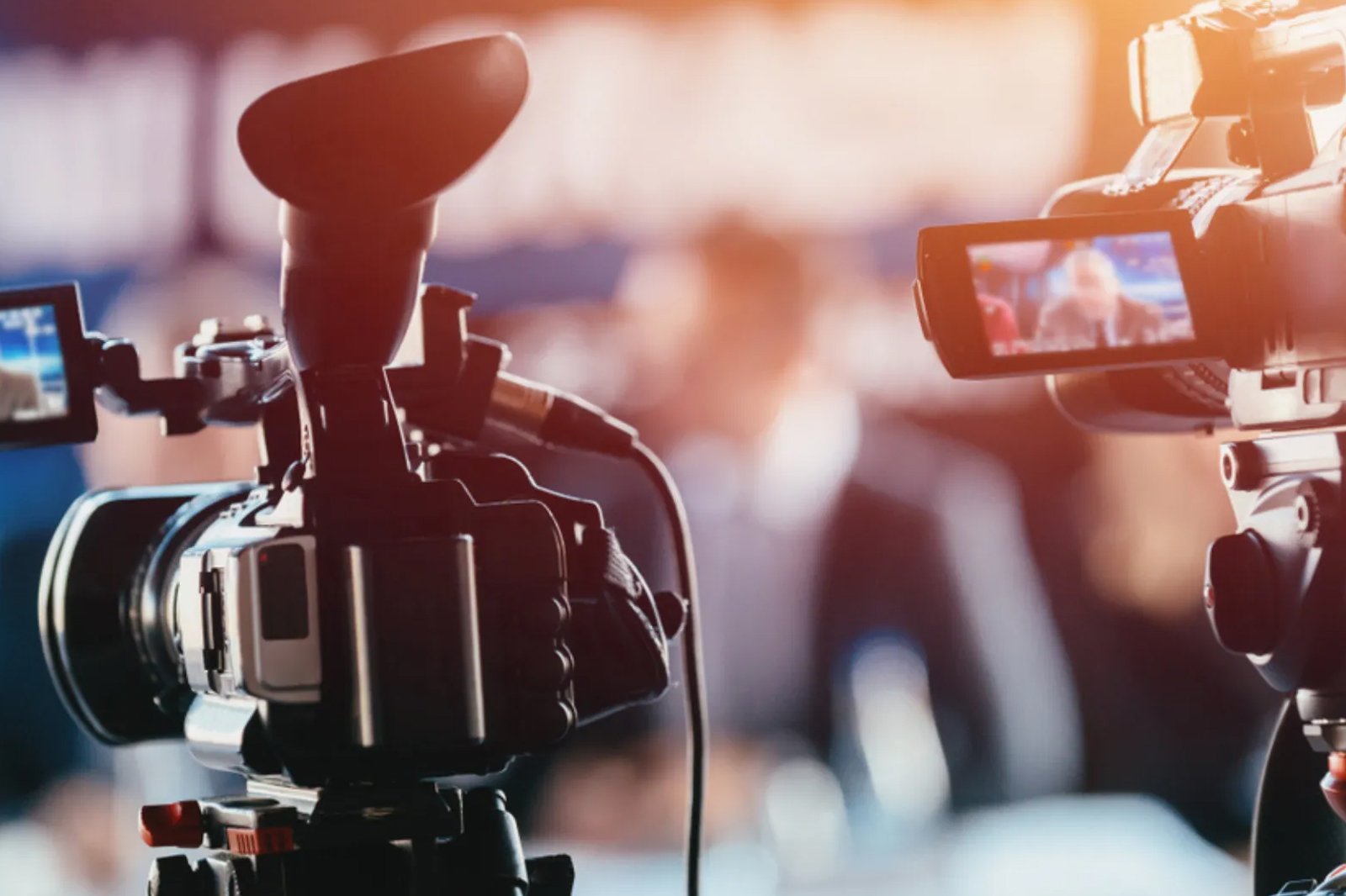 Luez Digital Agency Ltd