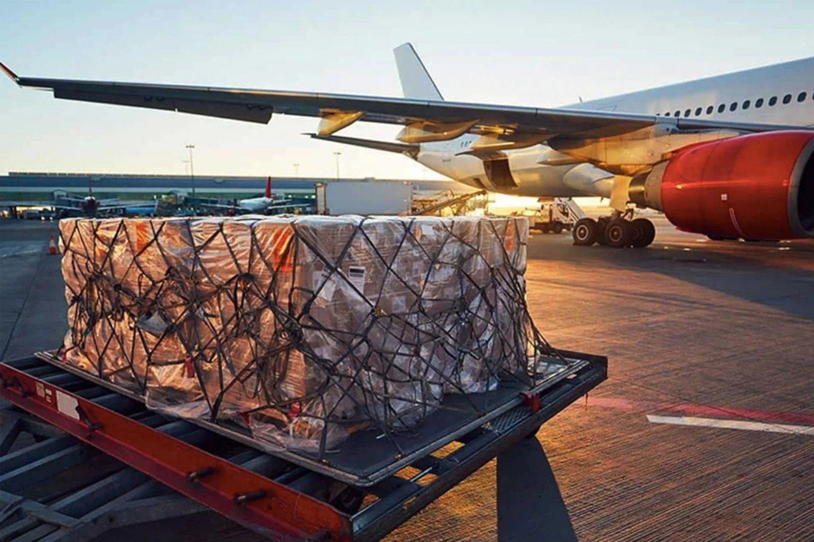 SAS Logistic Ltd